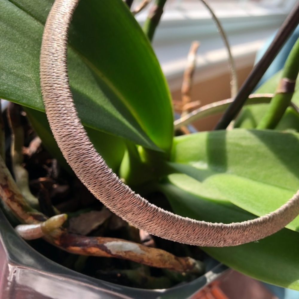 Milor Sterling Silver Wired Texture Collar